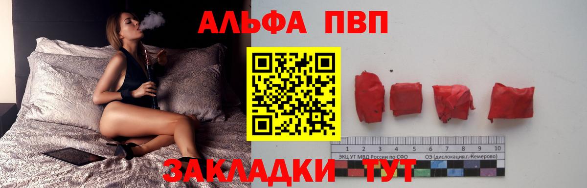 A PVP СК Можга