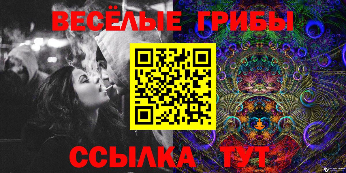 Галлюциногенные грибы MAGIC MUSHROOMS Можга